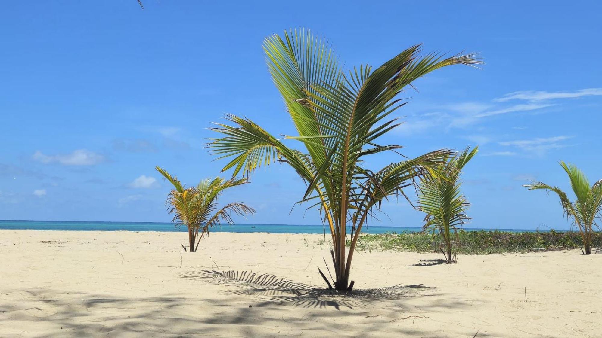 Chuiba Bay Lodge Pemba Luaran gambar